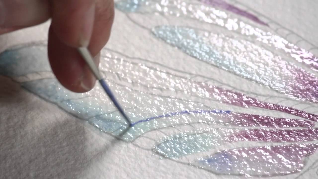 1280x720 How To Paint A Dragonfly By Jody Bergsma