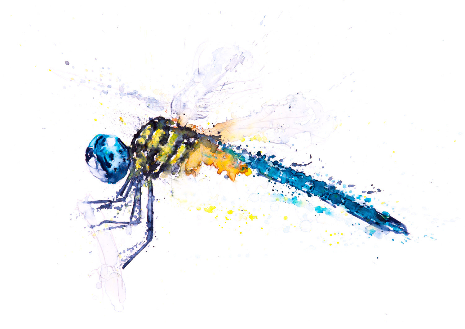 1500x1061 Dragonfly Watercolor Painting Watercolour