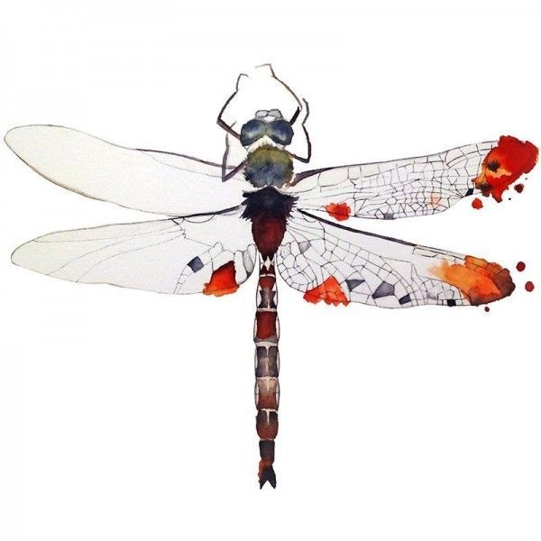 600x600 Dragonfly Watercolor T Shirt