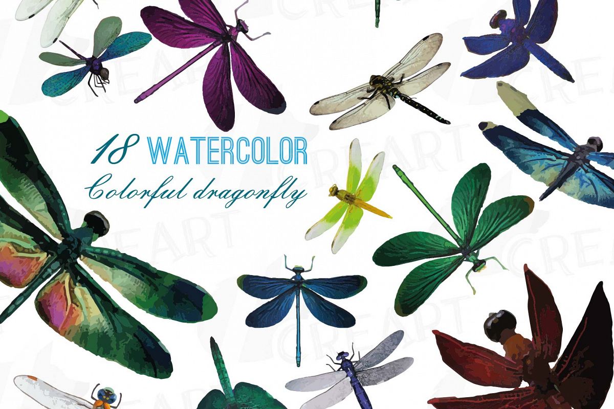 1200x800 Dragonfly Watercolor Clip Art Collectio Design Bundles