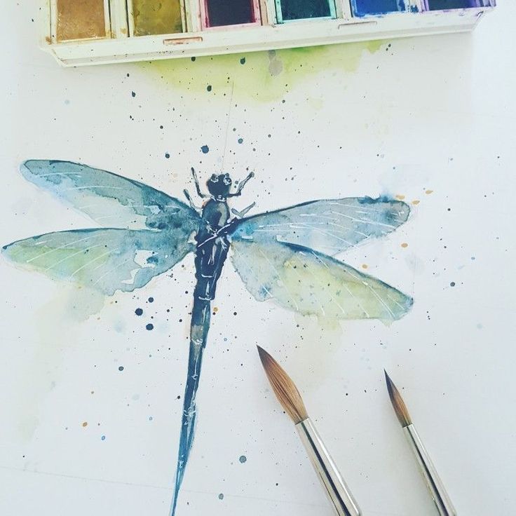736x736 Just A Small Little Dragonfly In Watercolour To Get Back To