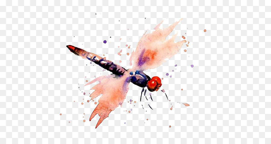 900x480 Watercolor Painting Dragonfly