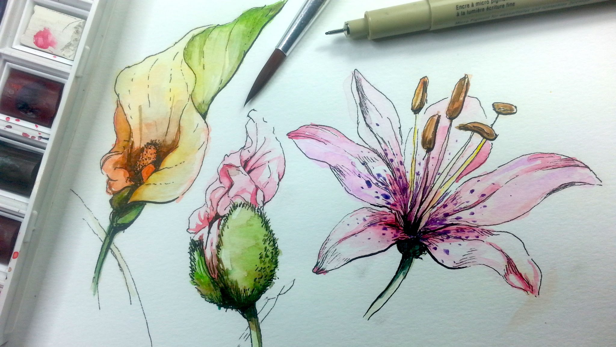 2048x1152 How To Draw Amp Paint Flowers With Ink And Watercolor Part 1