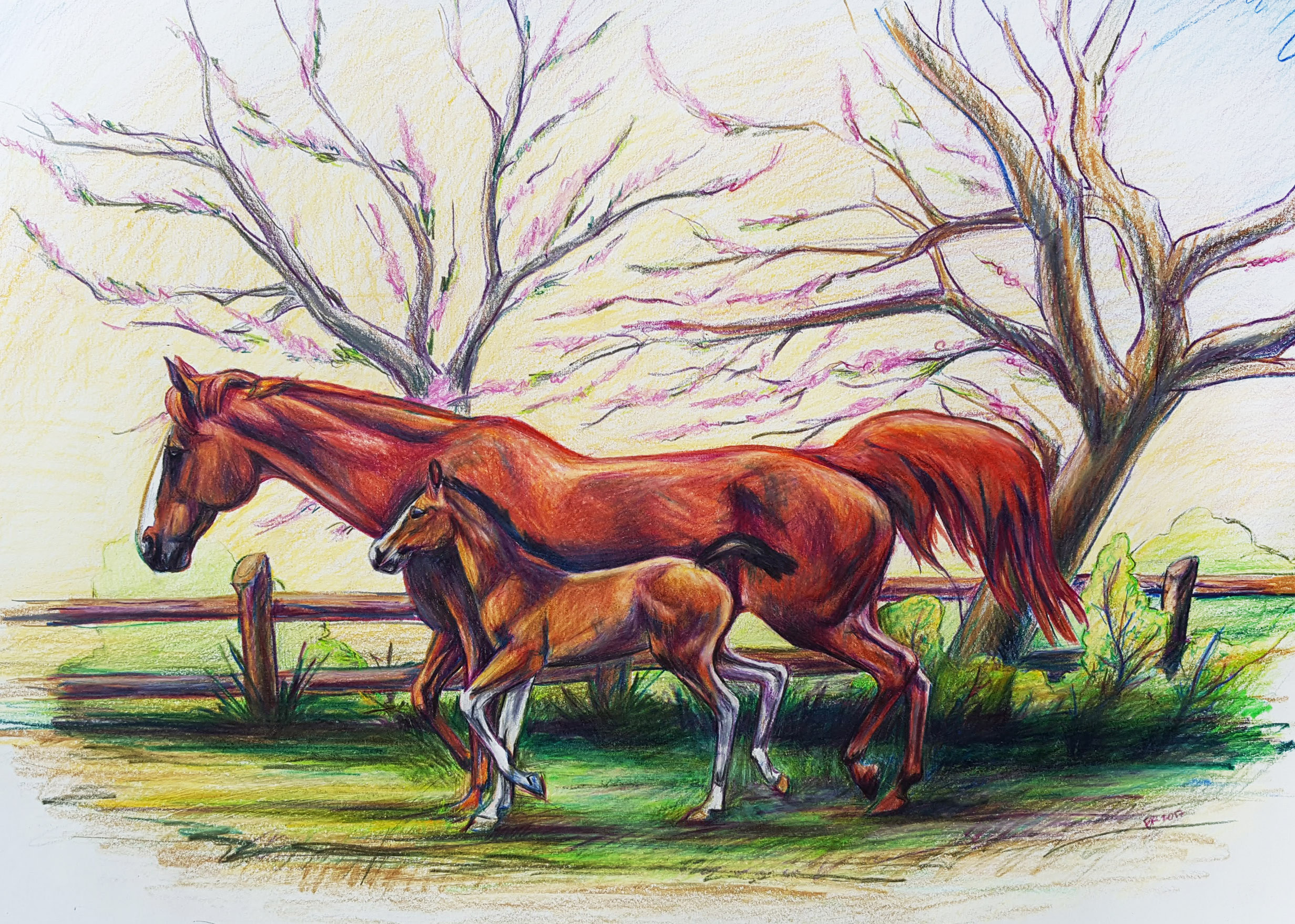 2463x1758 Drawing Amp Watercolor