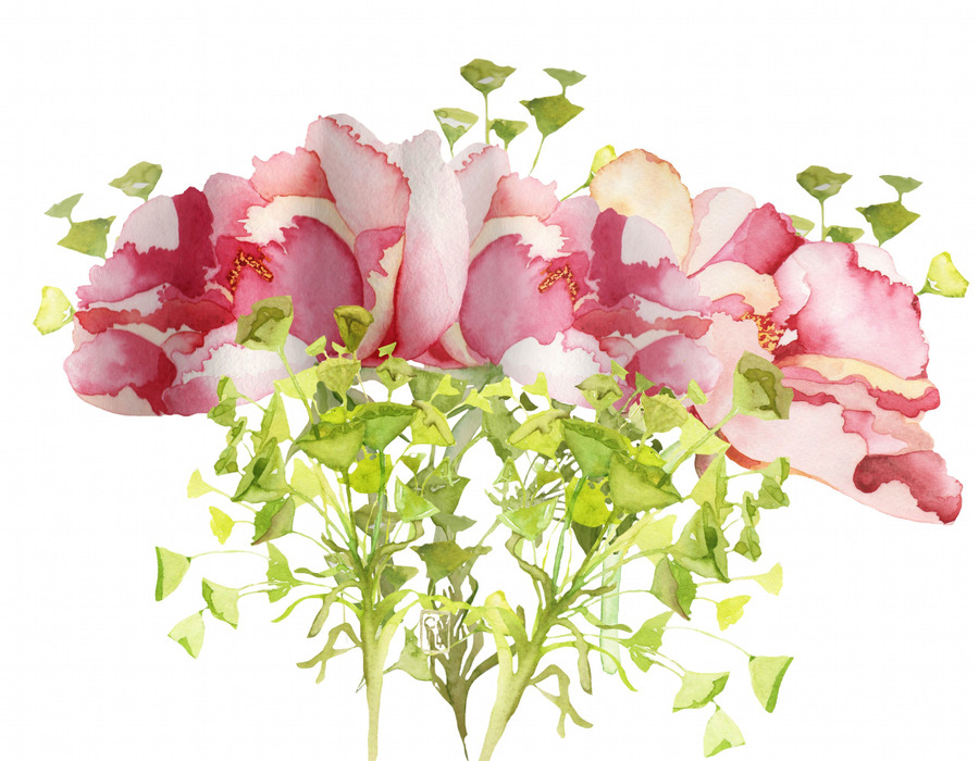 900x700 Download Flower Watercolor Clipart Garden Roses Watercolor