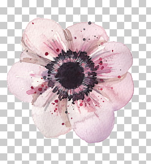 310x337 Flower Anemone Watercolor Painting Drawing, Watercolor Flower Png