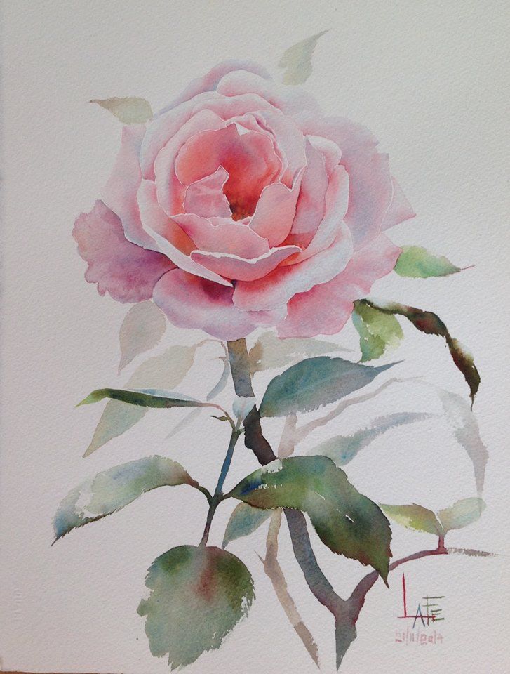 727x960 Gallery Painting Flowers In Watercolor Tutorial,
