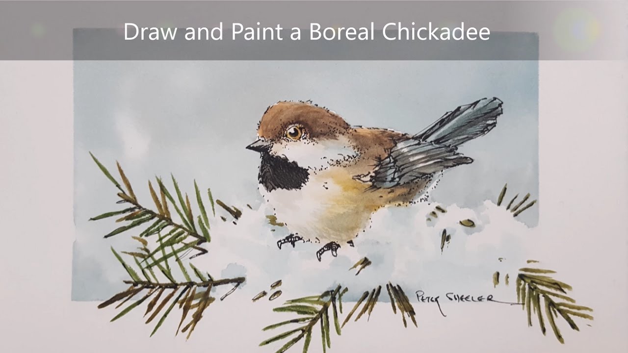 1280x720 How To Draw And Paint A Chickadee. Dry Brush Watercolour And Ink