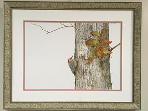 302x227 Mary Martin Gallery