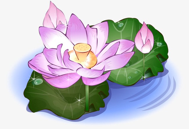 650x443 Dutch Watercolor Painting, Watercolor Clipart, Pink Lotus, Black