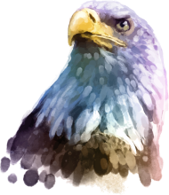 190x220 Eagle Head Watercolor By Sergej Bodak Spreadshirt