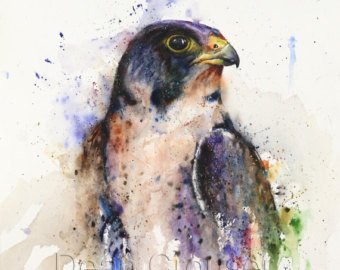 340x270 Eagle Watercolor Etsy