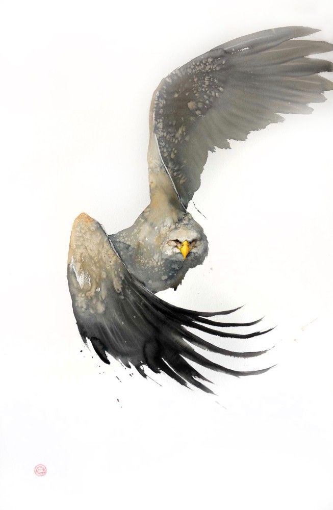 653x1000 Karl Watercolor White Tailed Eagle Karl Martens