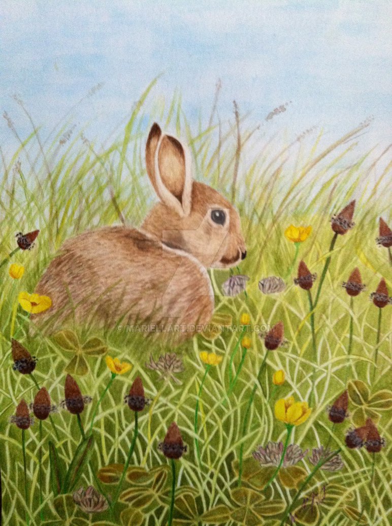 772x1034 Easter Bunny (Watercolor Painting) By Mariellart