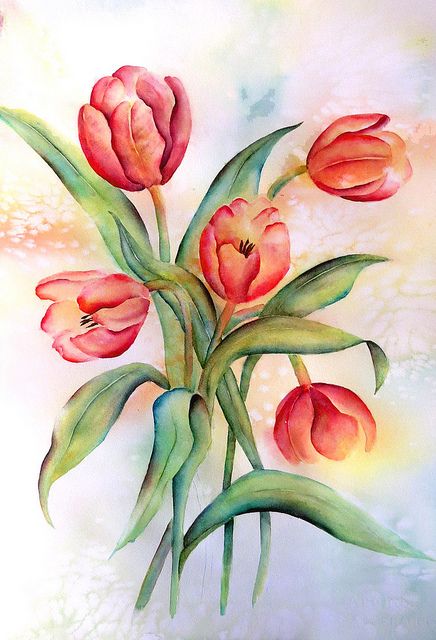 436x640 Tulips