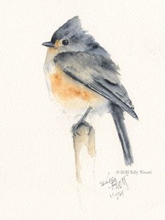 236x315 37 Best Watercolor Birds Tutorials Images Birds