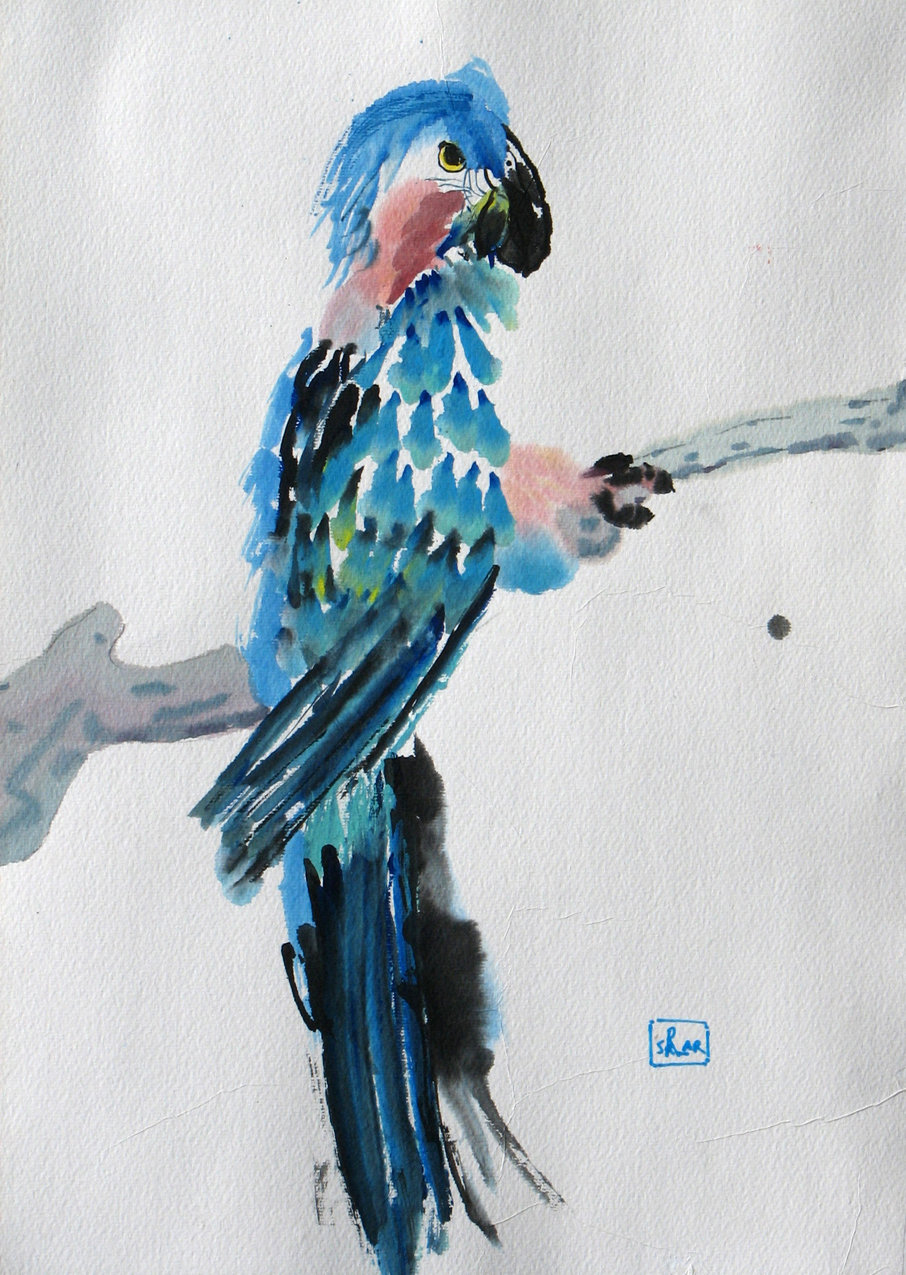 906x1275 Watercolor Paintings Of Birds By Rita Sklar