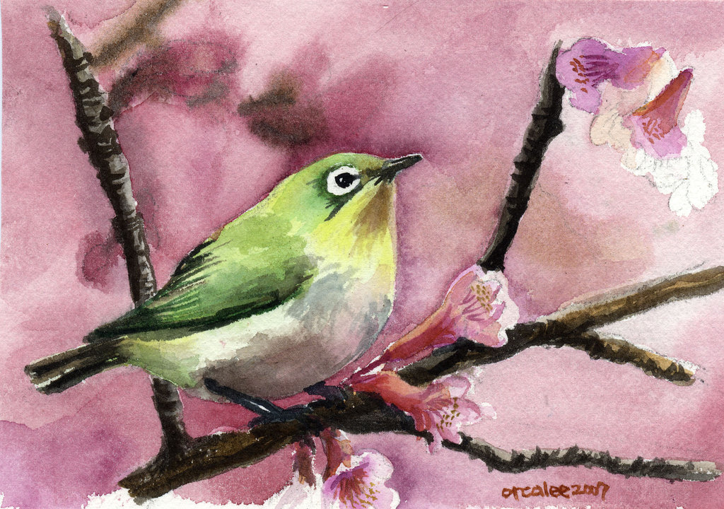 1024x720 Bird Watercolor By Mirrorplex