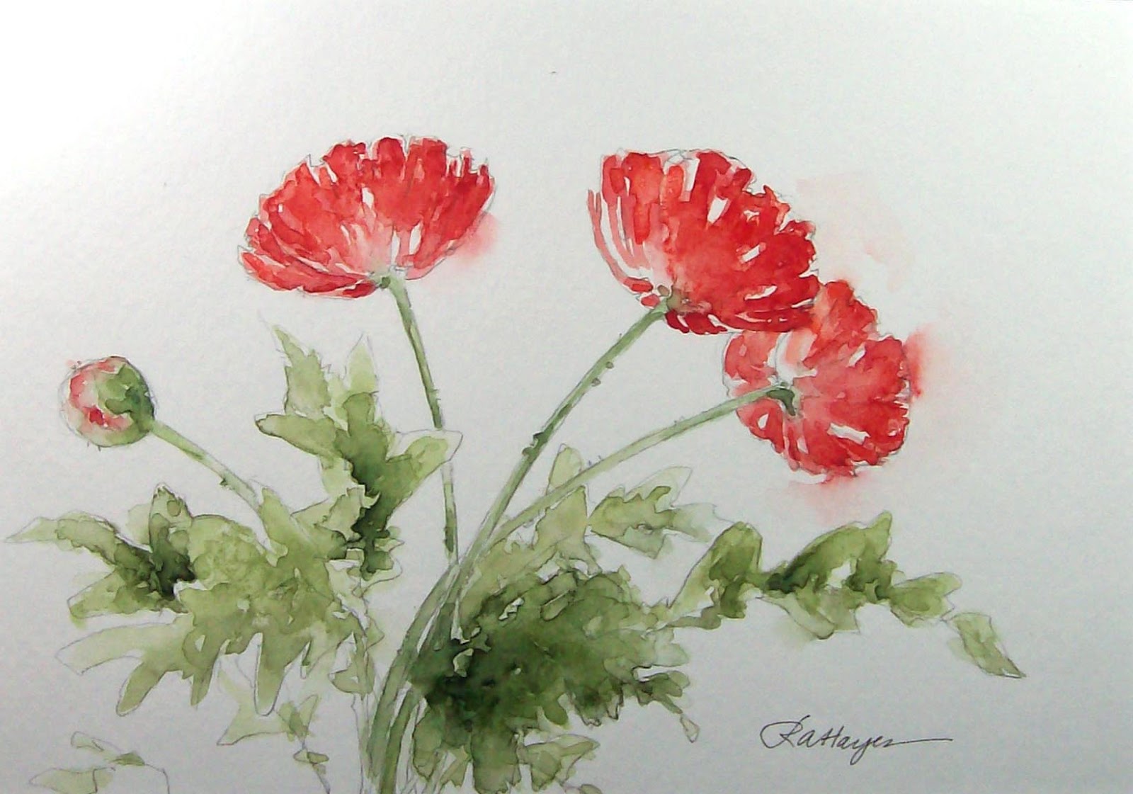 1600x1121 Watercolor Paintings By Roseann Hayes Poppies Watercolor Painting