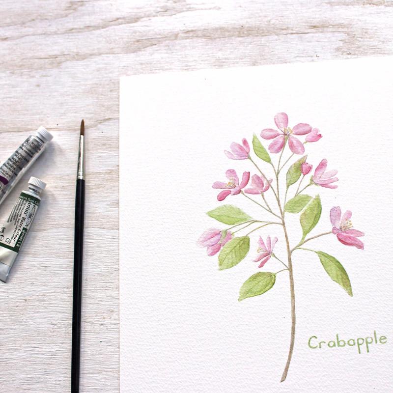 800x800 Edible Flower Watercolor Print