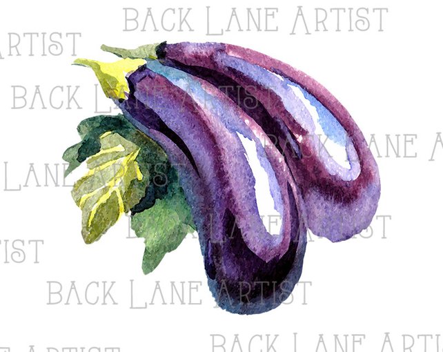 642x510 Eggplant Aubergine Brinjal Vegetables Watercolor Drawing Etsy