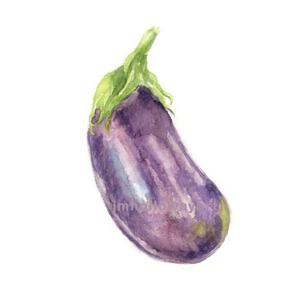 300x300 For Kitchen For Garden Watercolor Eggplant, Eggplant Print