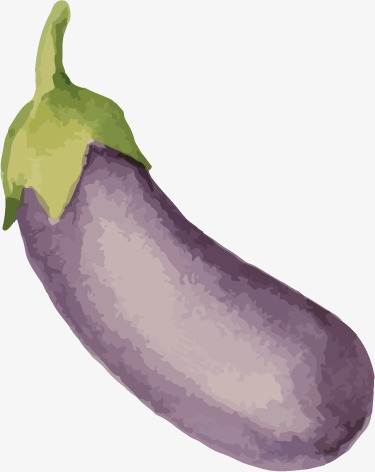 375x472 Purple Eggplant Watercolor Painting, Watercolor Vector, Fruit