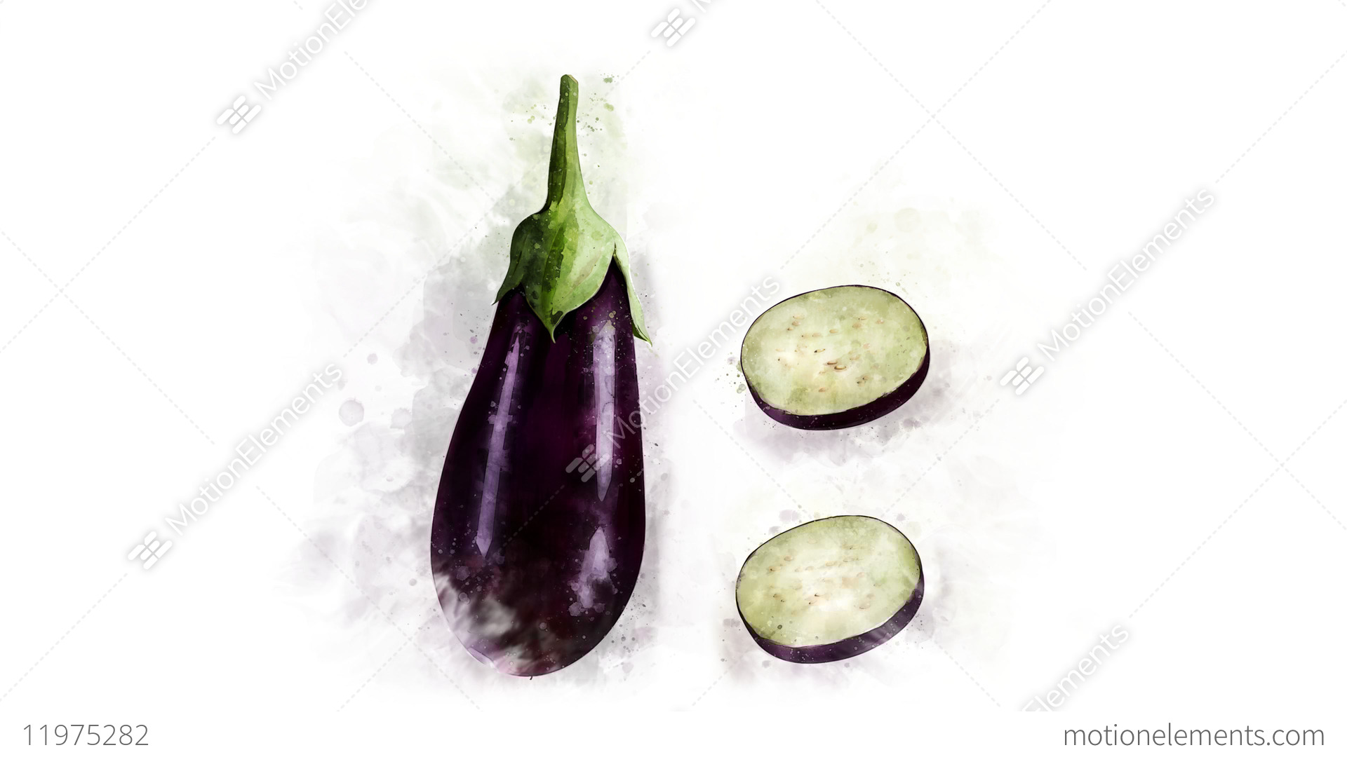 1920x1080 Watercolor Eggplant Picture Appearance Stock Video Footage 11975282