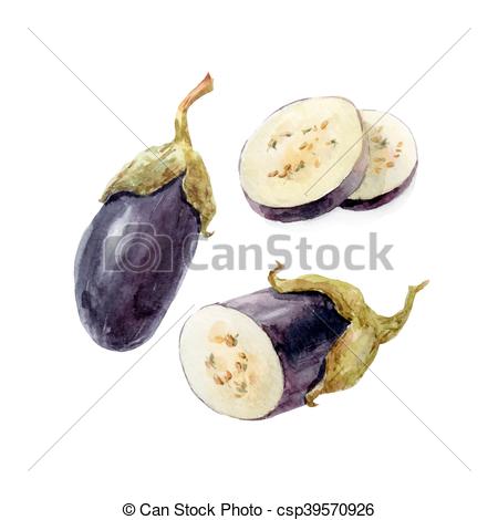 450x470 Watercolor Hand Drawn Eggplant. Beautiful Image With Nice