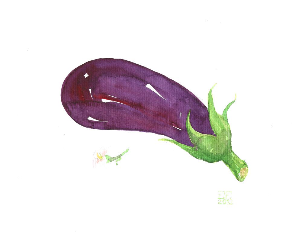 1000x798 Eggplant Watercolor Painting By Eva Forest 8x10 Inches Fox Want