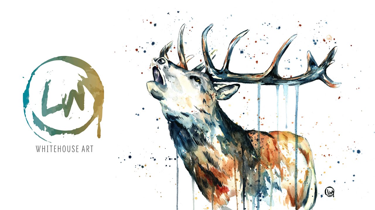 1280x720 Elk Calling