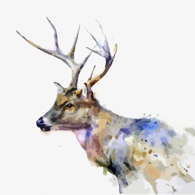 650x650 Elk Watercolor, Watercolor Clipart, Pigment Pale Halo, Elk Upper