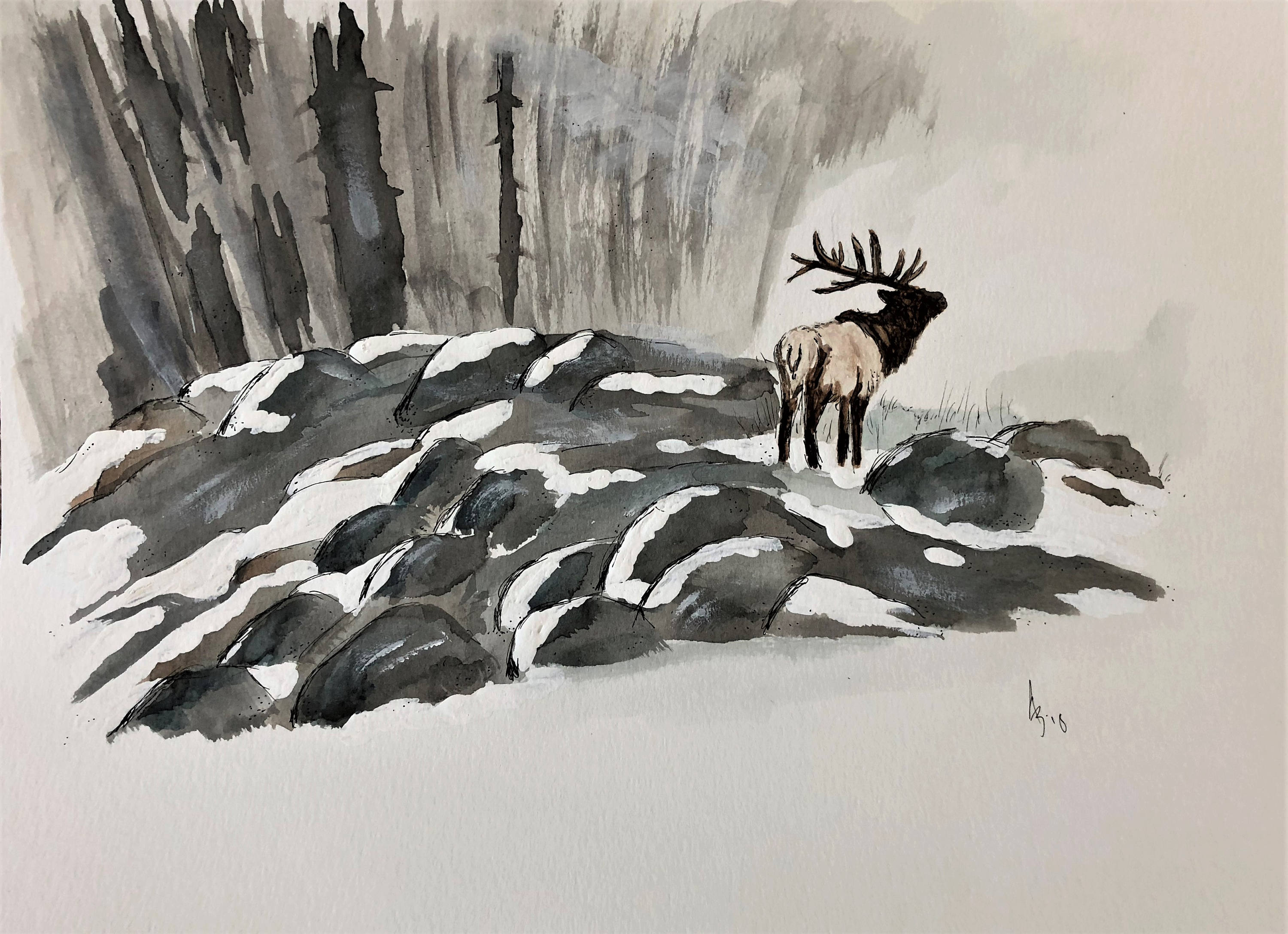 3000x2177 Elk In Woods Watercolor Painting Elk Print Elk Watercolor
