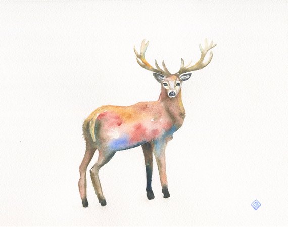 570x449 Original Watercolor Painting Colorful Elk 8.5 X 11 Etsy
