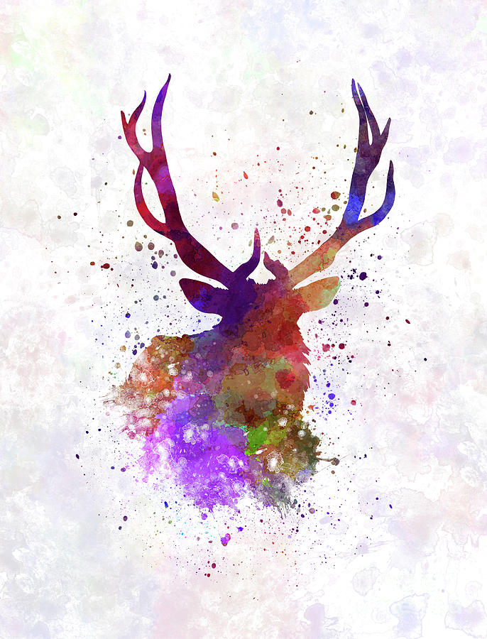 686x900 Elk 03 In Watercolor Painting By Pablo Romero
