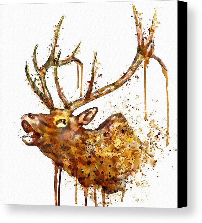 678x750 Elk In Watercolor Canvas Print Canvas Art By Marian Voicu