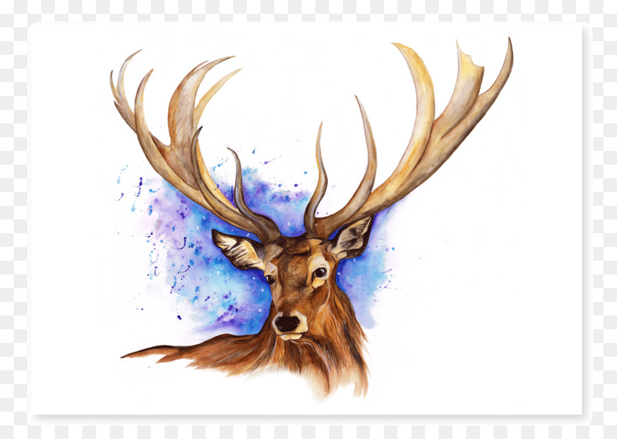 900x640 Elk Reindeer Antler Watercolor Painting