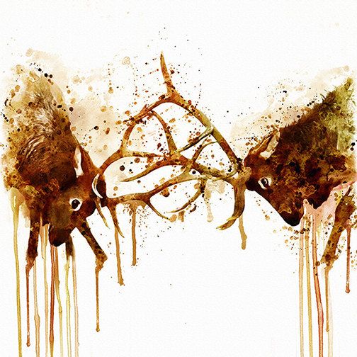 504x504 Elks Fight Instant Download Watercolor Painting Elk Decor Wildlife