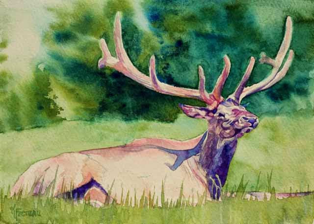 640x458 Art By Kiana Fecteau Elk (February 13, 2013)