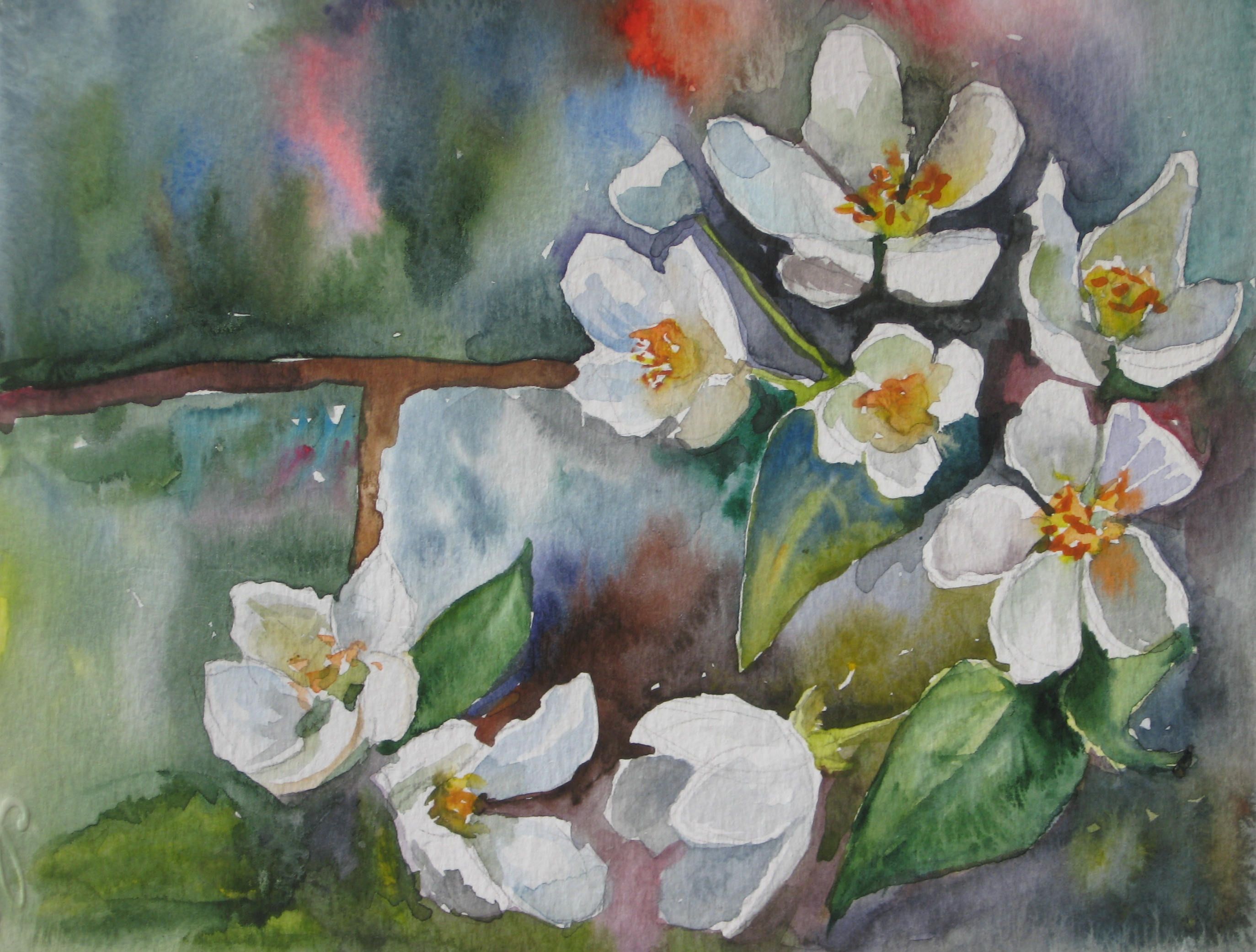 2747x2081 Original Watercolor Painting,apple Blossom, Blossoming Apple Trees