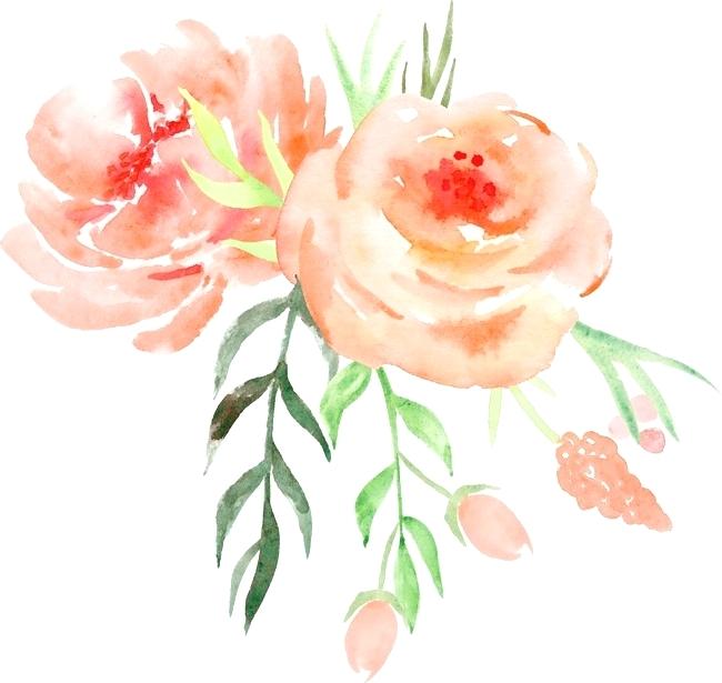 650x615 Water Color Flower Orange Roses Decorative Pattern Illustration