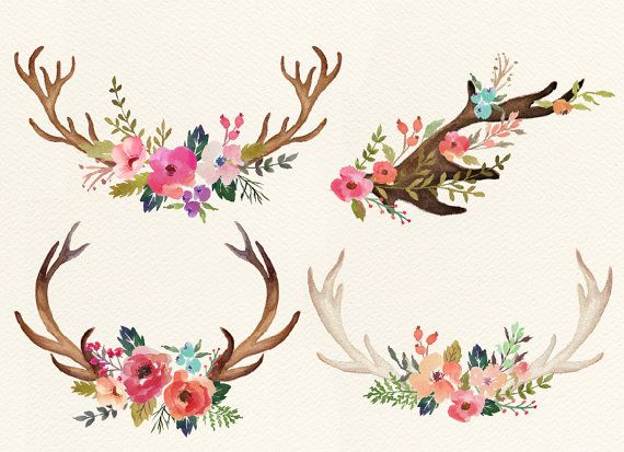 570x413 Watercolor Flowers With Deer Horn By Graphicsafari On Etsy