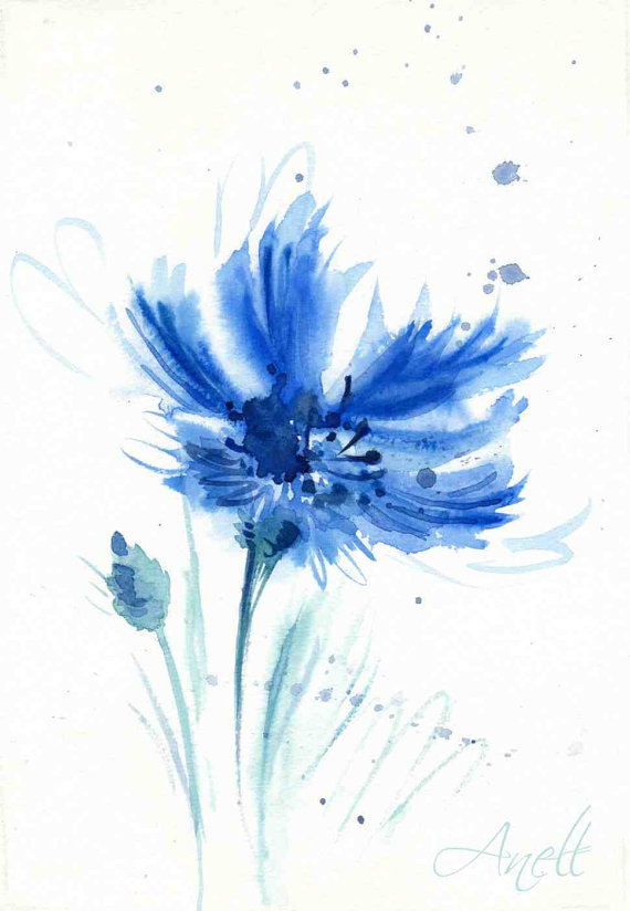 570x824 Blue Watercolor Flower Print Cornflower Watercolor Blue Print