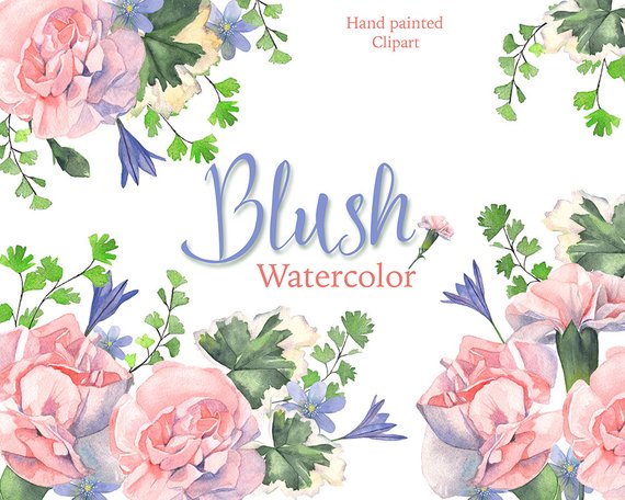 570x456 Blush Watercolor Flowers Clipart Carnations Maiden Hair Etsy