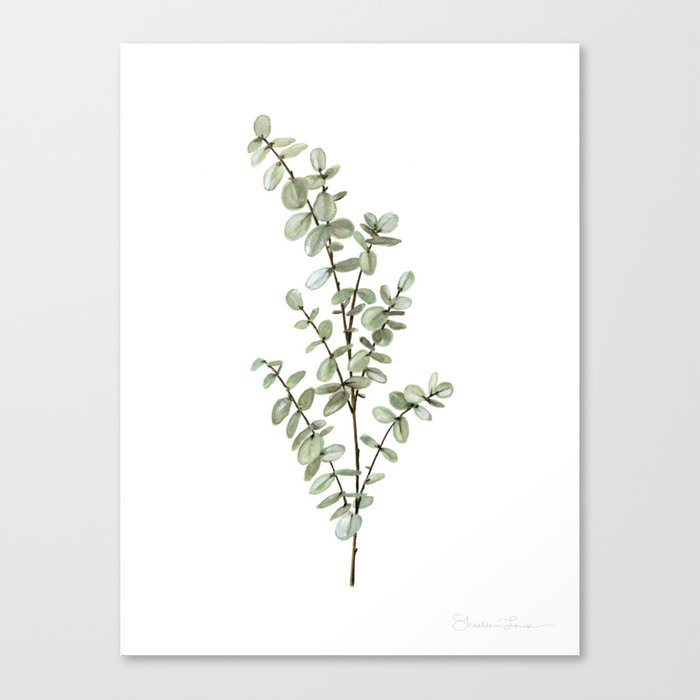 Eucalyptus Watercolor