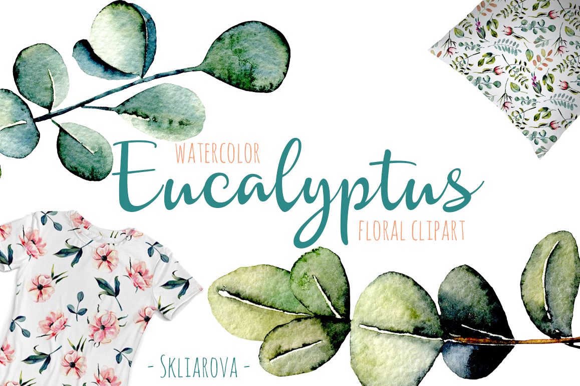 1158x772 Eucalyptus Watercolor Clipart