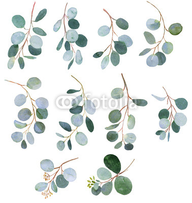 378x400 Eucalyptus Watercolor Twigs Buy Photos Ap Images Detailview