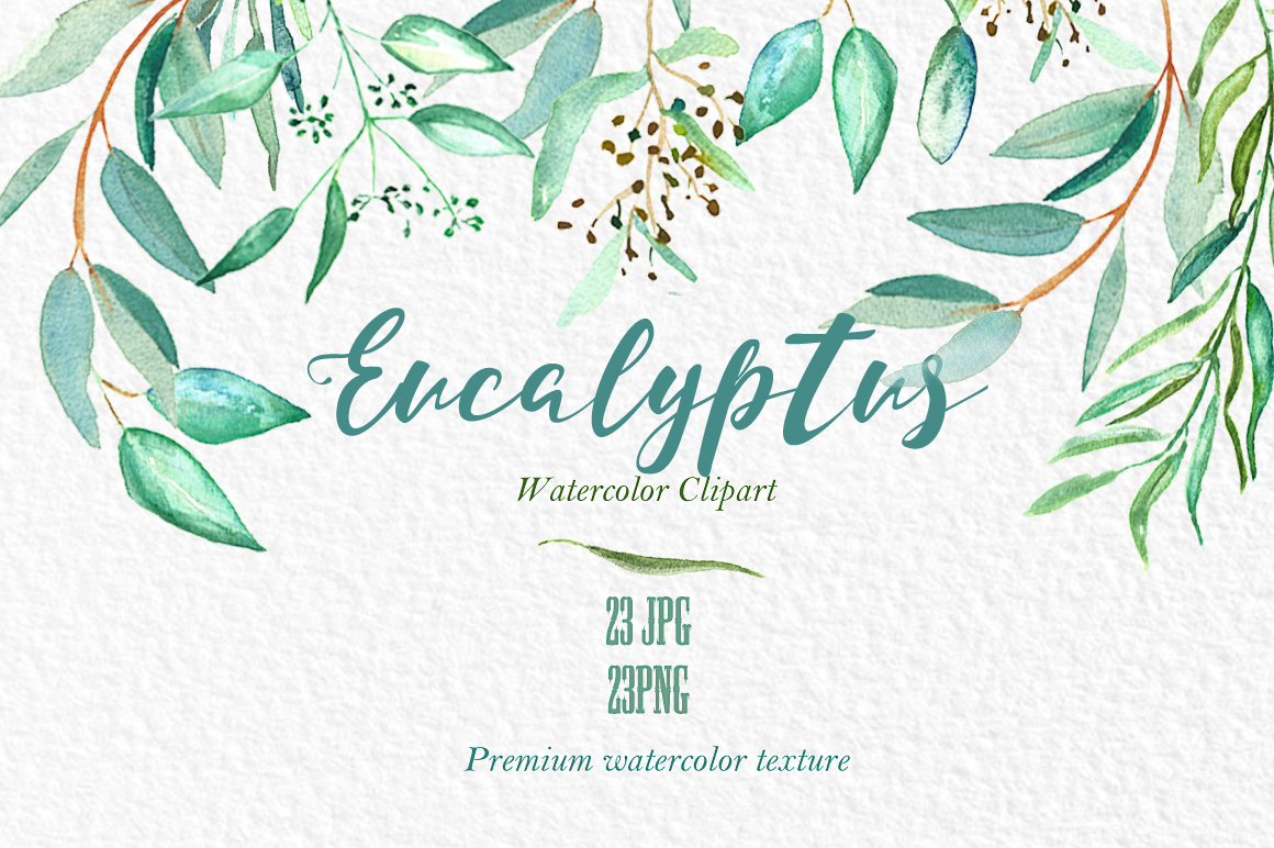 1160x772 Eucalyptus. Watercolor Clipart. By Labfcreations