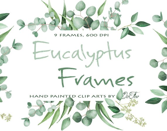 570x448 Watercolor Eucalyptus Clipart Frame Greenery Frames Clip Art Etsy