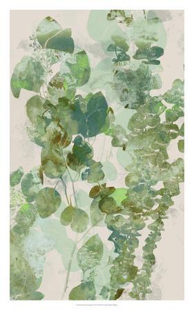 281x450 Watercolor Eucalyptus Ii Art Print By Jennifer Goldberger